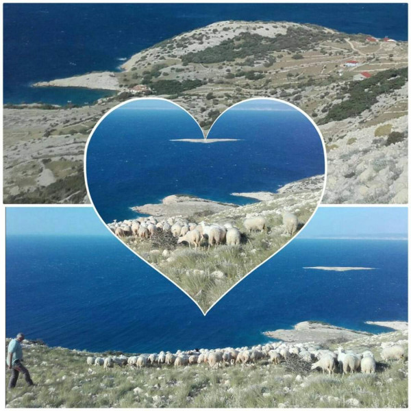 Apartment for a relaxing holiday, Apartment for a relaxing holiday u blizini mora, Stara Ba&scaron;ka, Otok Krk Stara Ba&scaron;ka