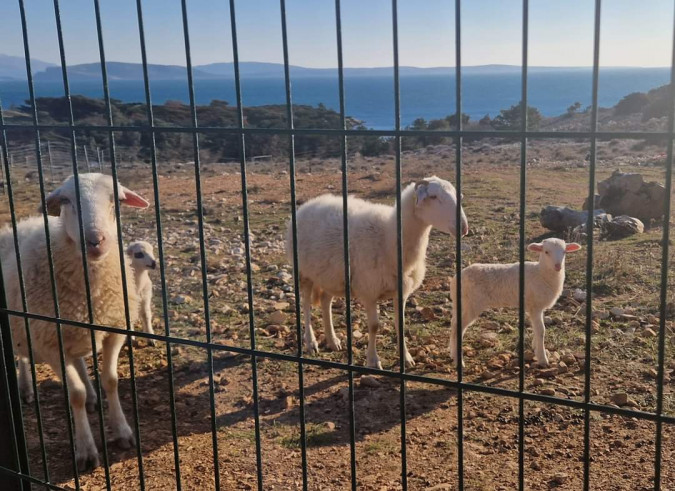 Apartment for a relaxing holiday near the sea, Stara Ba&scaron;ka, Krk Island, Croatia Stara Ba&scaron;ka